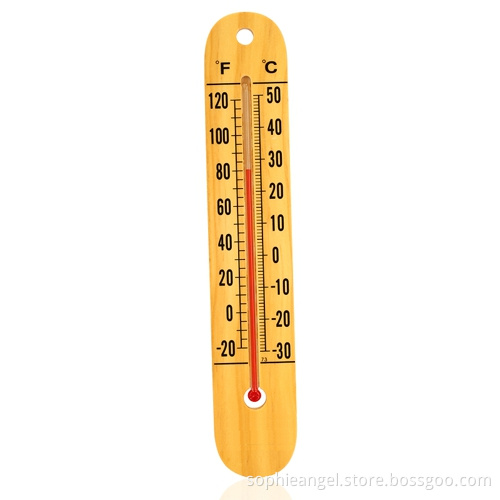 Indoor Outdoor Thermometer G270